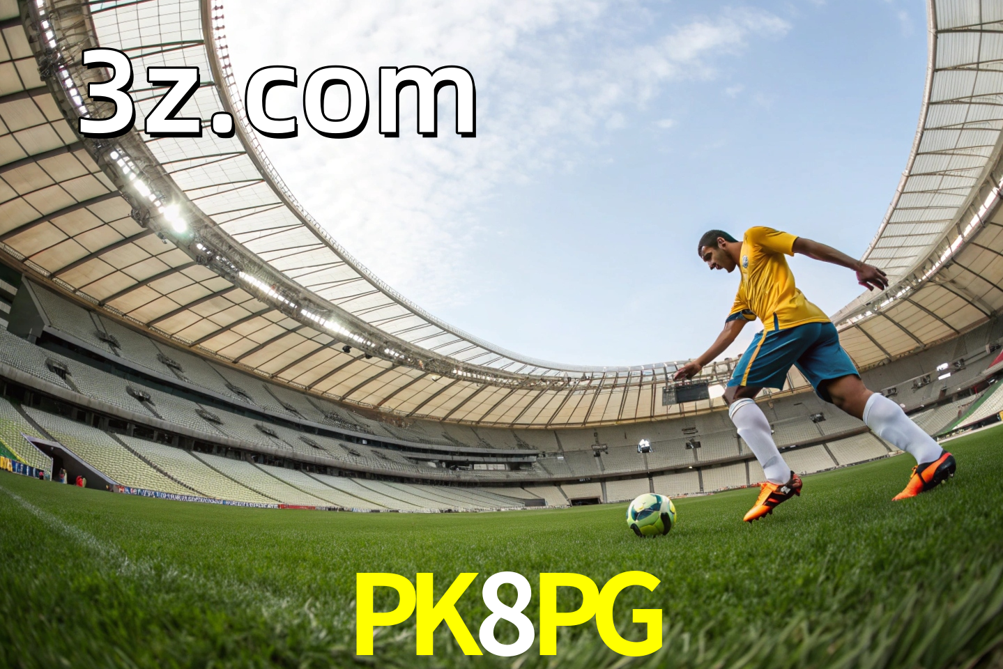 apostas esportivas